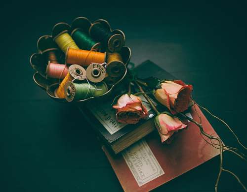 san diego assorted-color thread in bowl beside three roses on two hardbound books rose